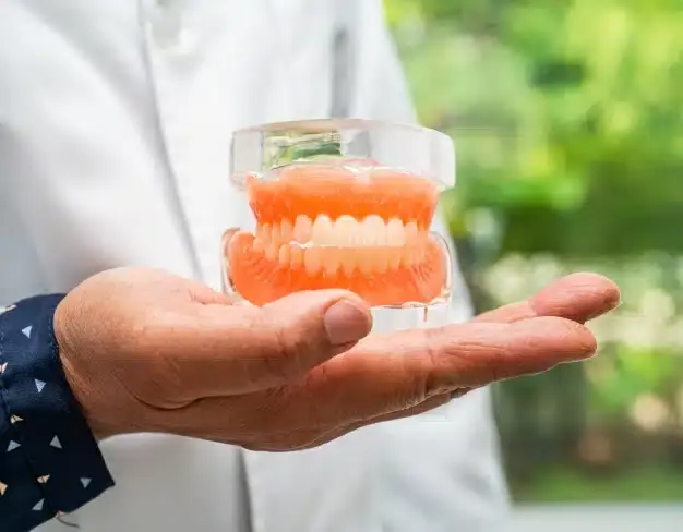 Dentist holding a full denture model, Downtown Dental Care, Little Rock, AR